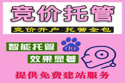 SEM推广公司案例：助力企业实现品牌价值提升